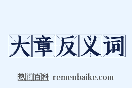 大章反义词是什么意思的图片